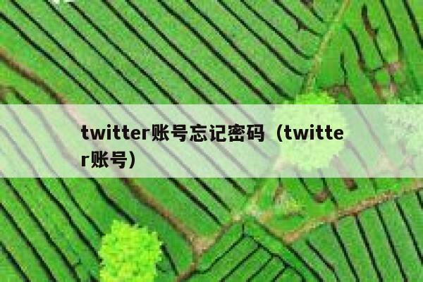 twitter账号忘记密码（twitter账号） 第1张