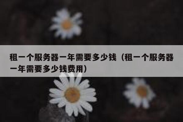 租一个服务器一年需要多少钱（租一个服务器一年需要多少钱费用） 第1张