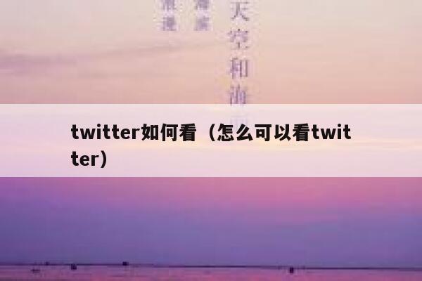 twitter如何看（怎么可以看twitter） 第1张