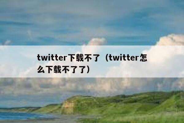 twitter下载不了（twitter怎么下载不了了） 第1张
