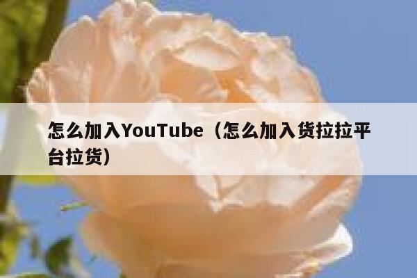 怎么加入YouTube（怎么加入货拉拉平台拉货） 第1张