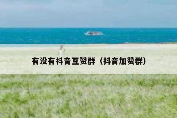 有没有抖音互赞群（抖音加赞群） 第1张