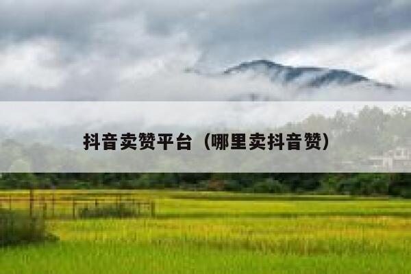 抖音卖赞平台（哪里卖抖音赞） 第1张