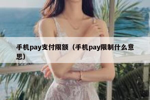手机pay支付限额（手机pay限制什么意思） 第1张