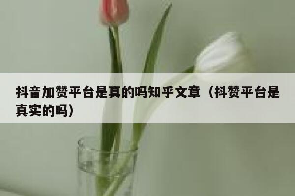 抖音加赞平台是真的吗知乎文章（抖赞平台是真实的吗） 第1张