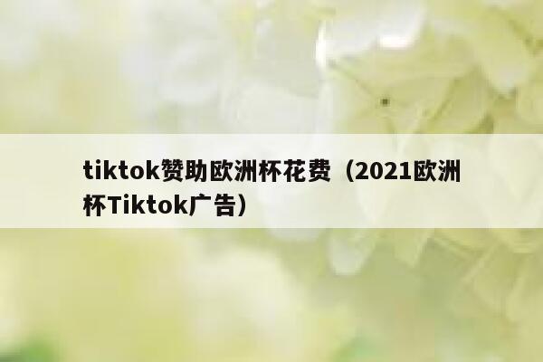tiktok赞助欧洲杯花费（2021欧洲杯Tiktok广告） 第1张