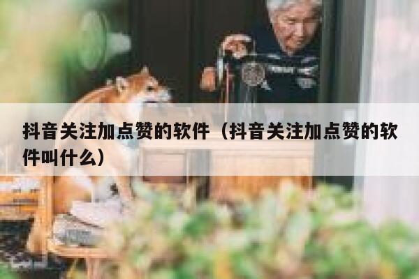 抖音关注加点赞的软件（抖音关注加点赞的软件叫什么） 第1张