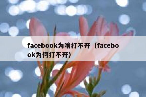 facebook为啥打不开（facebook为何打不开） 第1张
