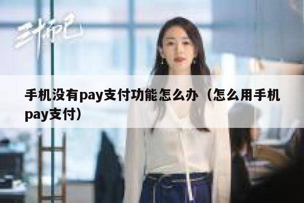 手机没有pay支付功能怎么办（怎么用手机pay支付） 第1张