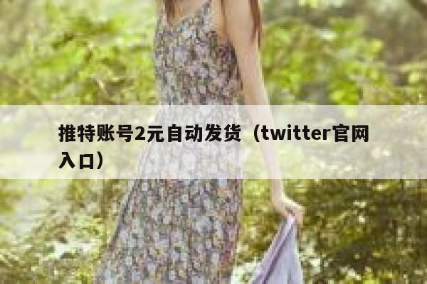 推特账号2元自动发货（twitter官网入口） 第1张