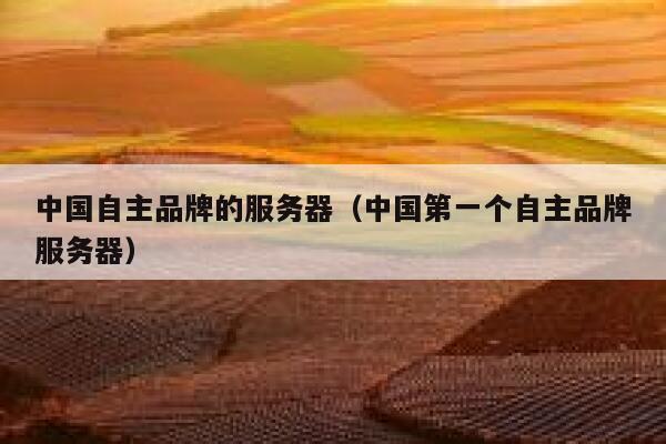 中国自主品牌的服务器（中国第一个自主品牌服务器） 第1张