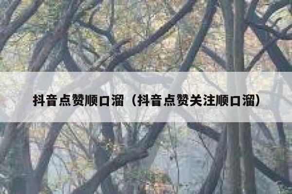抖音点赞顺口溜（抖音点赞关注顺口溜） 第1张