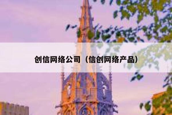 创信网络公司（信创网络产品） 第1张