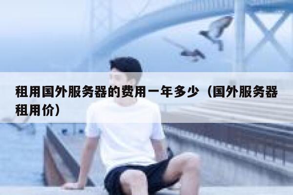 租用国外服务器的费用一年多少（国外服务器租用价） 第1张