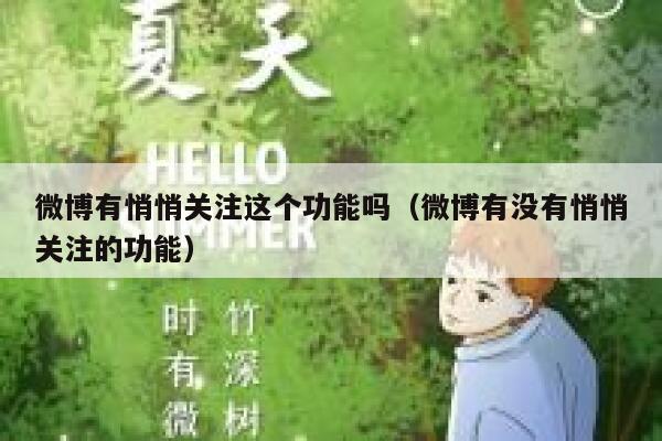 微博有悄悄关注这个功能吗（微博有没有悄悄关注的功能） 第1张