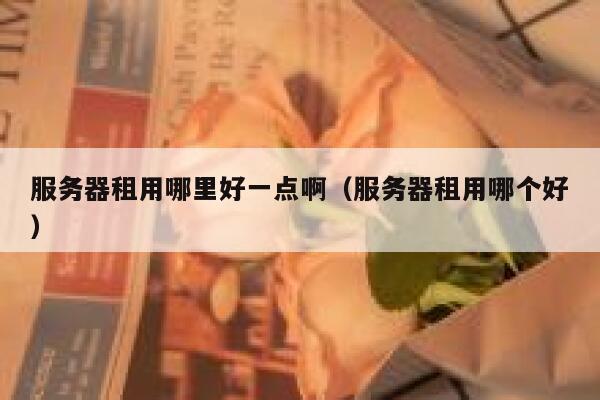 服务器租用哪里好一点啊（服务器租用哪个好） 第1张
