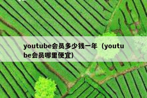 youtube会员多少钱一年（youtube会员哪里便宜） 第1张