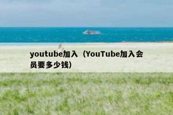 youtube加入（YouTube加入会员要多少钱） 第1张