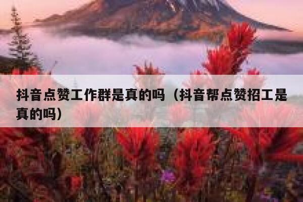 抖音点赞工作群是真的吗（抖音帮点赞招工是真的吗） 第1张