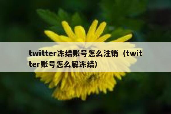 twitter冻结账号怎么注销（twitter账号怎么解冻结） 第1张