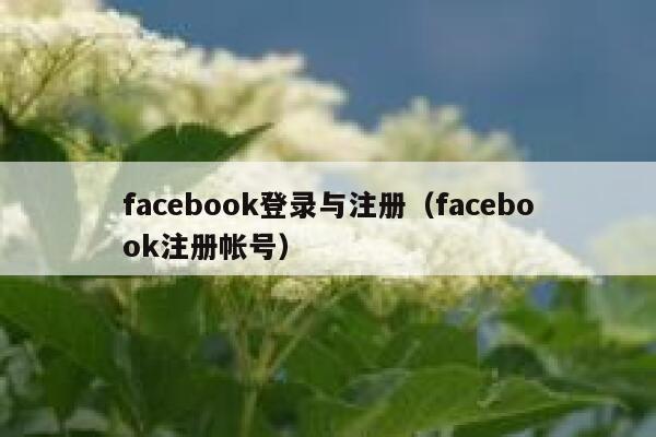 facebook登录与注册（facebook注册帐号） 第1张