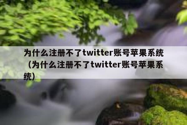 为什么注册不了twitter账号苹果系统（为什么注册不了twitter账号苹果系统） 第1张