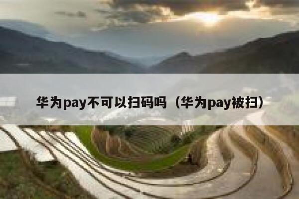 华为pay不可以扫码吗（华为pay被扫） 第1张