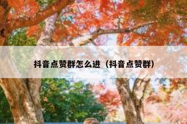 抖音点赞群怎么进(抖音点赞群) 第1张 抖音点赞群怎么进(抖音点赞群) 第1张