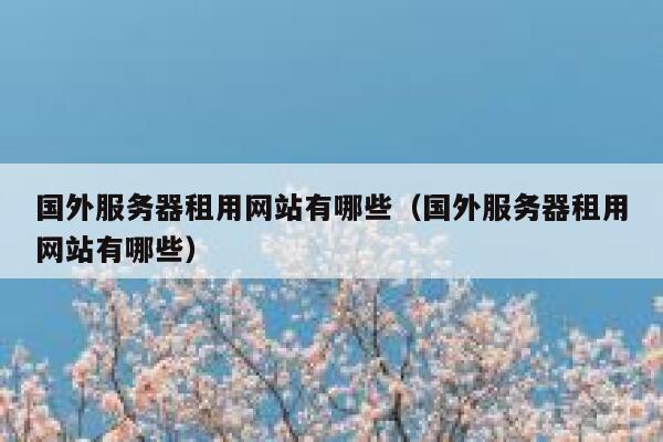 国外服务器租用网站有哪些（国外服务器租用网站有哪些） 第1张