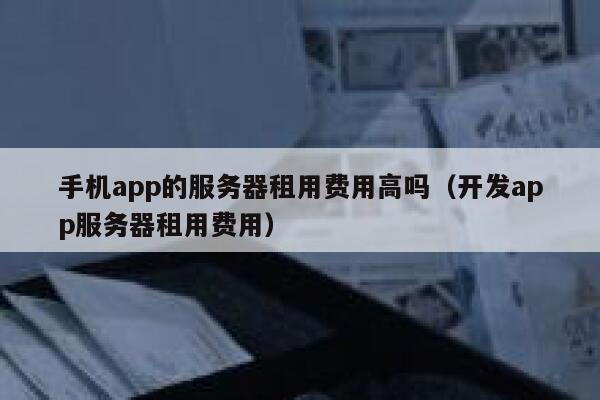 手机app的服务器租用费用高吗（开发app服务器租用费用） 第1张
