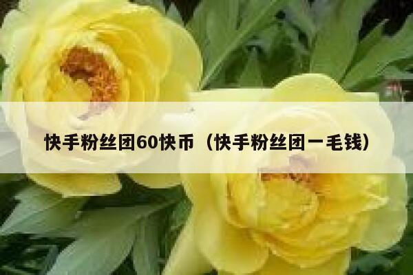 快手粉丝团60快币（快手粉丝团一毛钱） 第1张