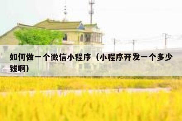 如何做一个微信小程序（小程序开发一个多少钱啊） 第1张