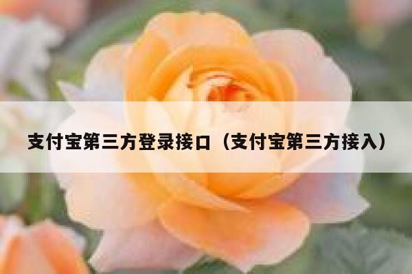 支付宝第三方登录接口（支付宝第三方接入） 第1张