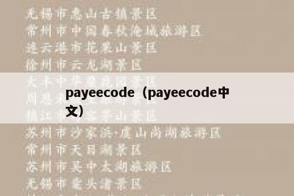 payeecode（payeecode中文） 第1张