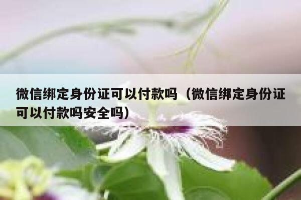 微信绑定身份证可以付款吗（微信绑定身份证可以付款吗安全吗） 第1张