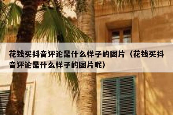 花钱买抖音评论是什么样子的图片（花钱买抖音评论是什么样子的图片呢） 第1张
