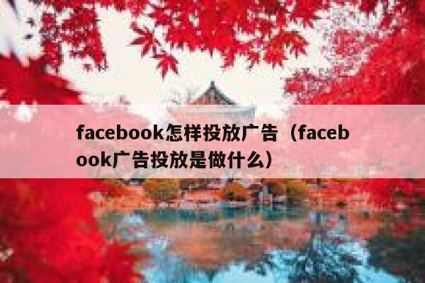 facebook怎样投放广告（facebook广告投放是做什么） 第1张
