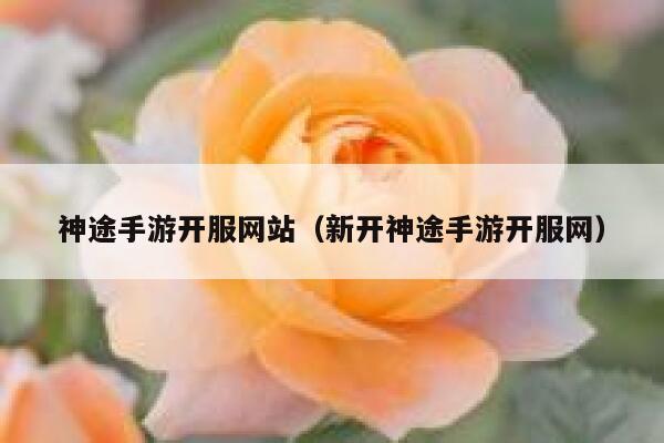 神途手游开服网站（新开神途手游开服网） 第1张