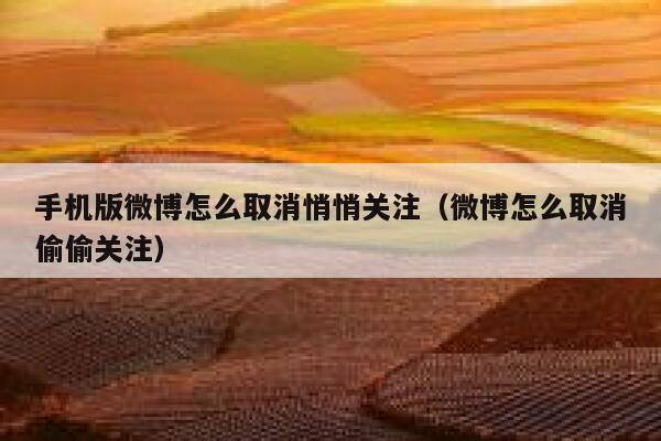 手机版微博怎么取消悄悄关注（微博怎么取消偷偷关注） 第1张