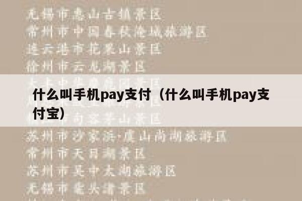 什么叫手机pay支付(什么叫手机pay支付宝) 第1张 什么叫手机pay支付(什么叫手机pay支付宝) 第1张