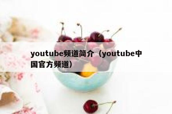 youtube频道简介（youtube中国官方频道） 第1张