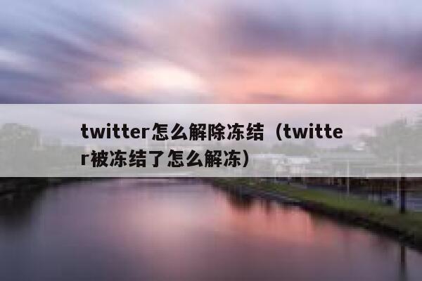 twitter怎么解除冻结（twitter被冻结了怎么解冻） 第1张