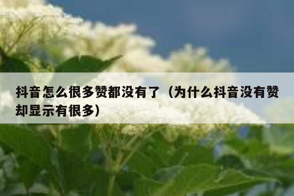 抖音怎么很多赞都没有了（为什么抖音没有赞却显示有很多） 第1张