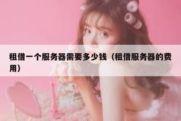 租借一个服务器需要多少钱（租借服务器的费用） 第1张