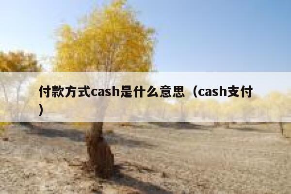 付款方式cash是什么意思（cash支付） 第1张