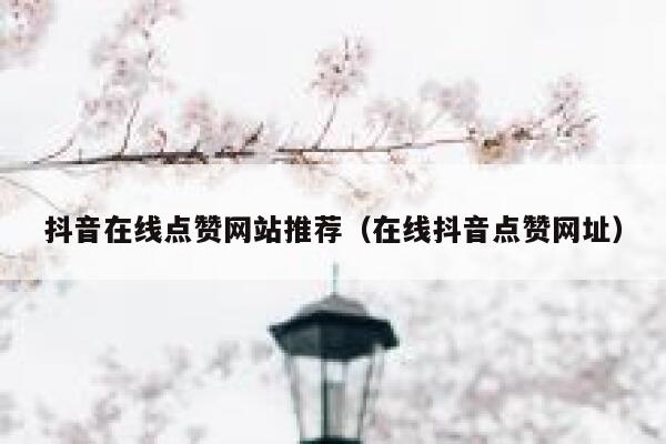 抖音在线点赞网站推荐（在线抖音点赞网址） 第1张