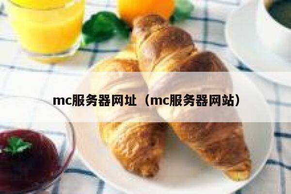 mc服务器网址（mc服务器网站） 第1张