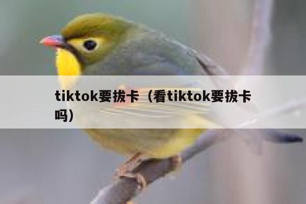 tiktok要拔卡（看tiktok要拔卡吗） 第1张