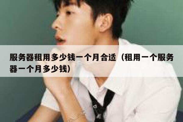 服务器租用多少钱一个月合适（租用一个服务器一个月多少钱） 第1张