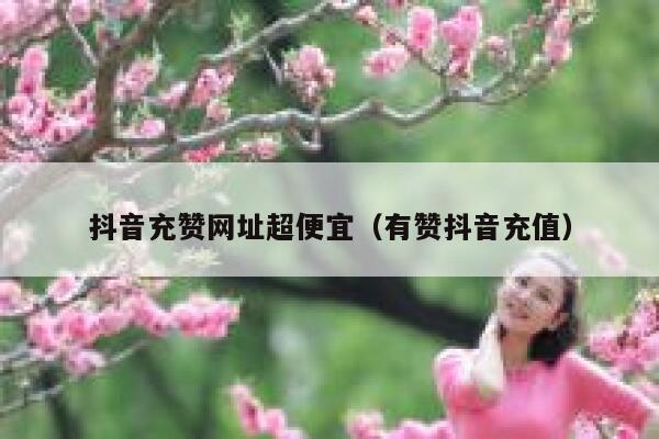 抖音充赞网址超便宜（有赞抖音充值） 第1张
